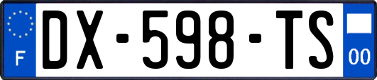 DX-598-TS
