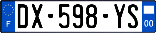 DX-598-YS