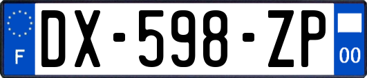 DX-598-ZP