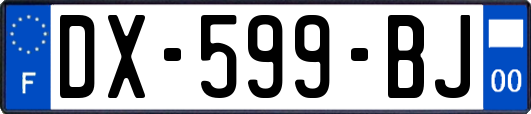 DX-599-BJ