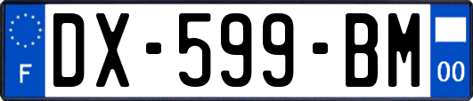 DX-599-BM