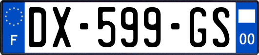 DX-599-GS