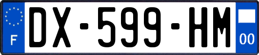 DX-599-HM