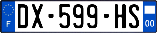 DX-599-HS