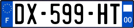 DX-599-HT