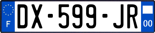 DX-599-JR