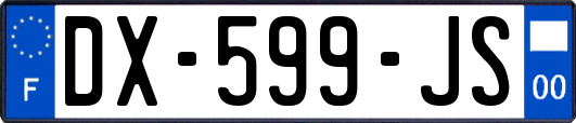 DX-599-JS