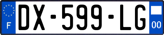 DX-599-LG