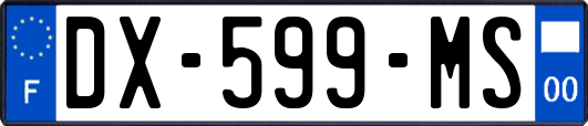 DX-599-MS