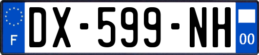 DX-599-NH