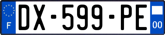 DX-599-PE