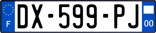 DX-599-PJ