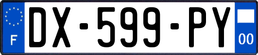 DX-599-PY