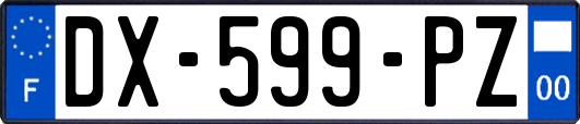 DX-599-PZ