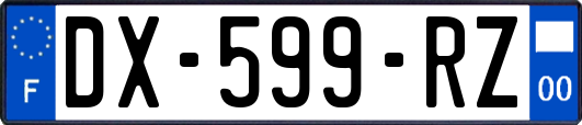DX-599-RZ