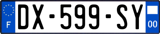 DX-599-SY