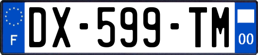 DX-599-TM