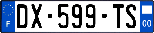 DX-599-TS