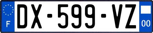 DX-599-VZ