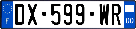 DX-599-WR