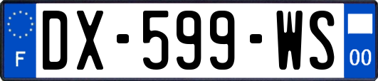 DX-599-WS