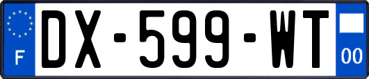 DX-599-WT