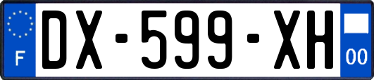 DX-599-XH