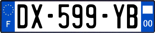DX-599-YB