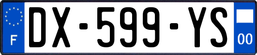 DX-599-YS