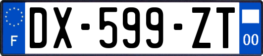 DX-599-ZT