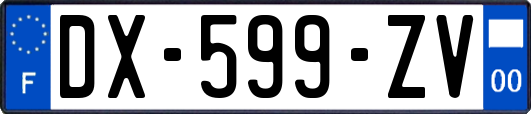 DX-599-ZV