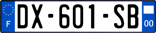 DX-601-SB
