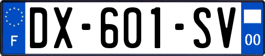 DX-601-SV