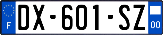DX-601-SZ