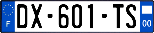 DX-601-TS