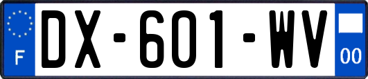 DX-601-WV