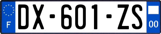 DX-601-ZS