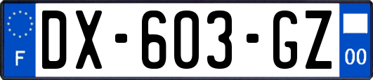 DX-603-GZ