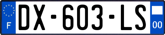 DX-603-LS
