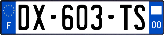 DX-603-TS