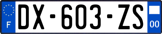 DX-603-ZS