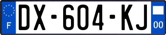 DX-604-KJ