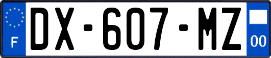 DX-607-MZ