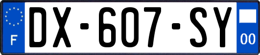 DX-607-SY