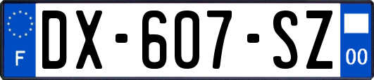 DX-607-SZ