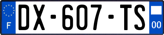 DX-607-TS