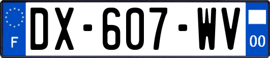 DX-607-WV