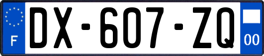 DX-607-ZQ