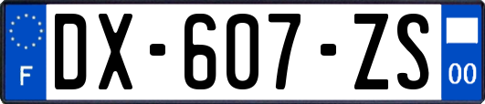 DX-607-ZS