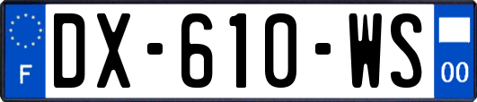 DX-610-WS
